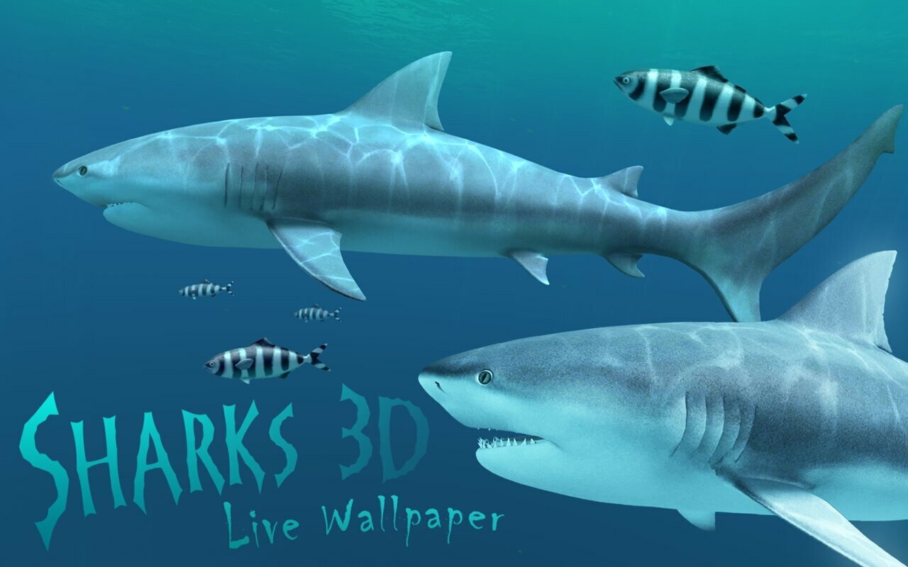 Sharks 3D mac free