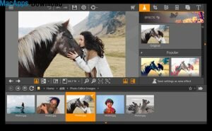 Wondershare Fotophire Photo Editor Crack Free